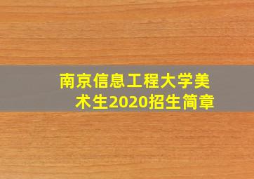 南京信息工程大学美术生2020招生简章