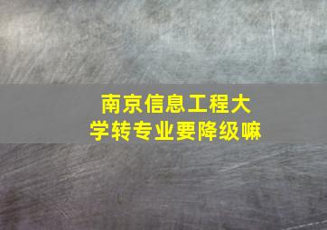 南京信息工程大学转专业要降级嘛