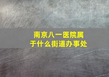 南京八一医院属于什么街道办事处