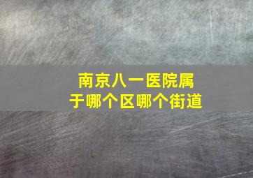 南京八一医院属于哪个区哪个街道