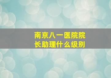 南京八一医院院长助理什么级别