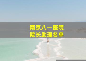 南京八一医院院长助理名单