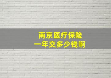 南京医疗保险一年交多少钱啊