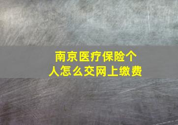 南京医疗保险个人怎么交网上缴费