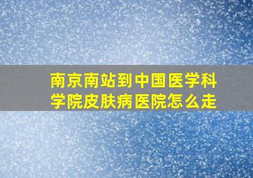 南京南站到中国医学科学院皮肤病医院怎么走