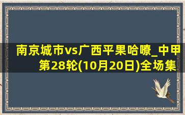 南京城市vs广西平果哈嘹_中甲第28轮(10月20日)全场集锦