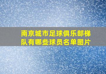 南京城市足球俱乐部梯队有哪些球员名单图片