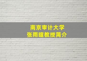 南京审计大学张雨暄教授简介