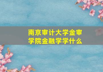 南京审计大学金审学院金融学学什么