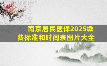 南京居民医保2025缴费标准和时间表图片大全