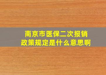 南京市医保二次报销政策规定是什么意思啊