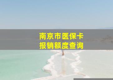 南京市医保卡报销额度查询