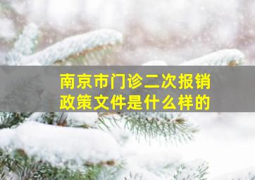 南京市门诊二次报销政策文件是什么样的