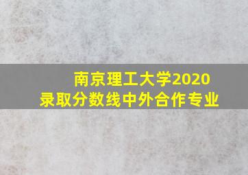 南京理工大学2020录取分数线中外合作专业