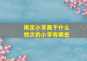 南定小学属于什么档次的小学有哪些