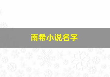 南希小说名字