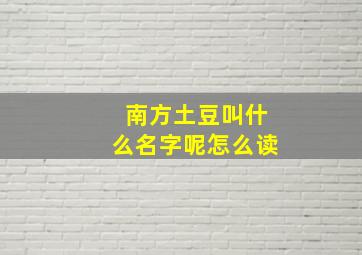 南方土豆叫什么名字呢怎么读