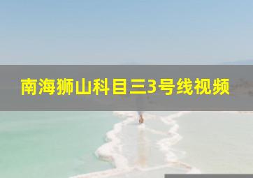 南海狮山科目三3号线视频