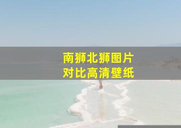 南狮北狮图片对比高清壁纸