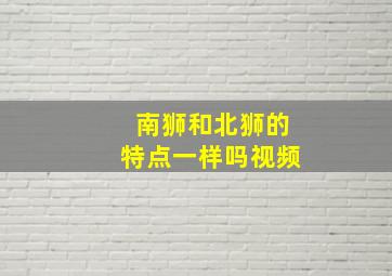 南狮和北狮的特点一样吗视频