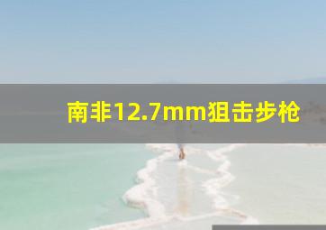 南非12.7mm狙击步枪