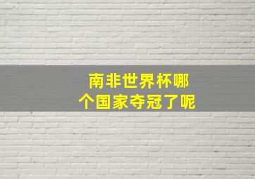 南非世界杯哪个国家夺冠了呢