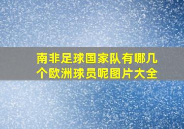 南非足球国家队有哪几个欧洲球员呢图片大全