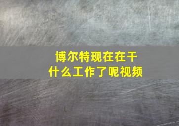 博尔特现在在干什么工作了呢视频