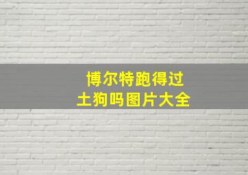 博尔特跑得过土狗吗图片大全