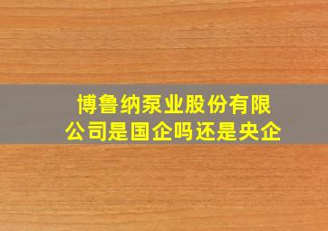 博鲁纳泵业股份有限公司是国企吗还是央企