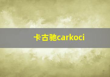 卡古驰carkoci