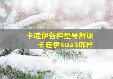 卡哇伊各种型号解读卡哇伊kua3咋样