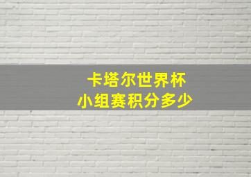 卡塔尔世界杯小组赛积分多少