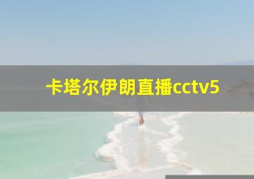 卡塔尔伊朗直播cctv5