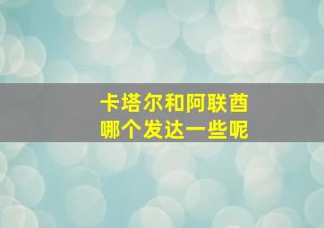 卡塔尔和阿联酋哪个发达一些呢