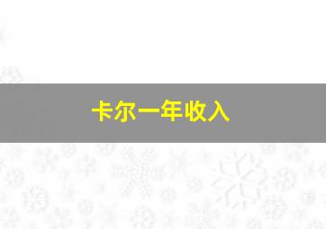 卡尔一年收入