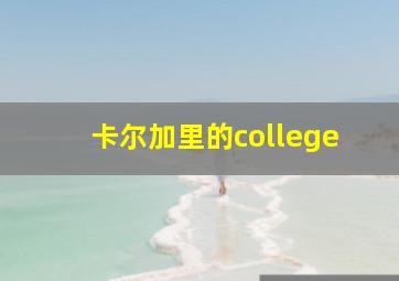 卡尔加里的college