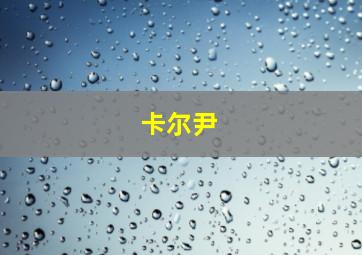 卡尔尹