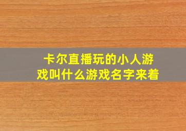 卡尔直播玩的小人游戏叫什么游戏名字来着