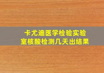 卡尤迪医学检验实验室核酸检测几天出结果