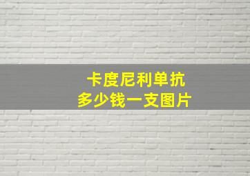 卡度尼利单抗多少钱一支图片