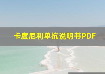 卡度尼利单抗说明书PDF