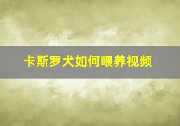 卡斯罗犬如何喂养视频