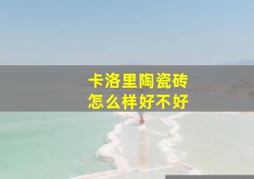 卡洛里陶瓷砖怎么样好不好