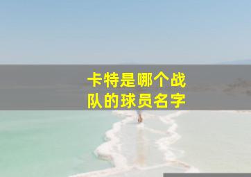 卡特是哪个战队的球员名字