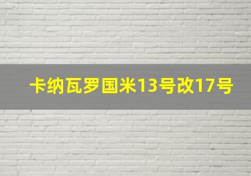 卡纳瓦罗国米13号改17号