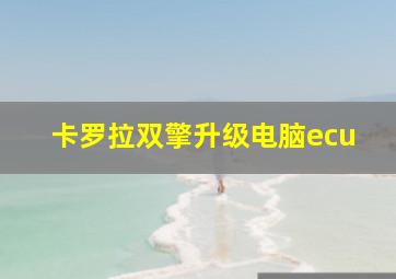 卡罗拉双擎升级电脑ecu