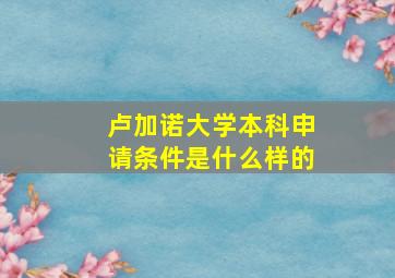 卢加诺大学本科申请条件是什么样的