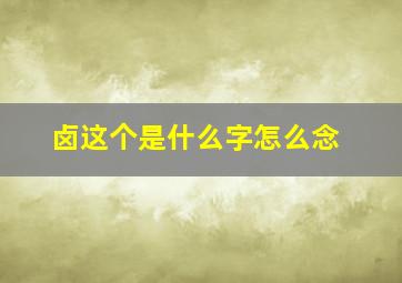 卤这个是什么字怎么念