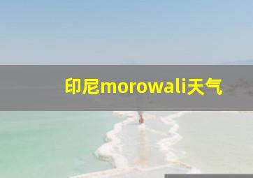 印尼morowali天气